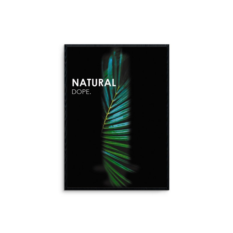 Bartosz Jasyk - Single Picture Frame Print