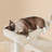 Daughtry 64.5" H Multi-Level Cat Tree-871946477