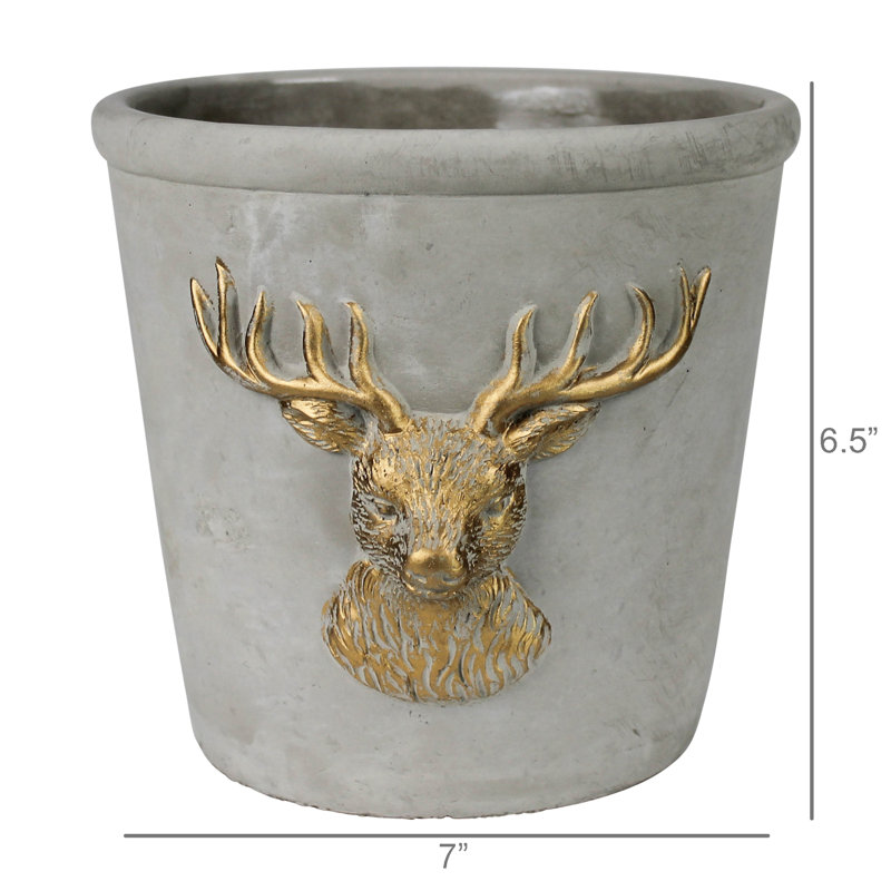 Cache-cerf, ciment