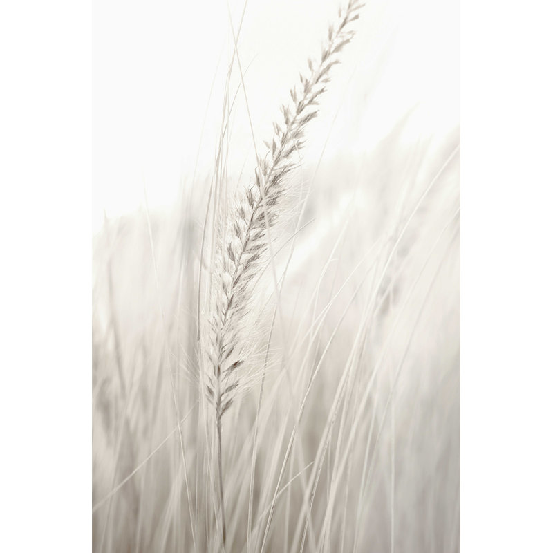 Impression sur toile tendue Ilex Studio III - Grass par 1X, H 18 po x l 12 po