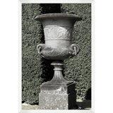 Garden Urn 2 Print by Thom Filicia