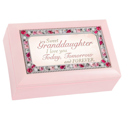 Ainesh Plastic Memory Box