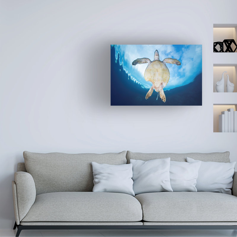 Bolog Barathieu Gabriel Shark Attack Survivor Canvas Art, 12" H x 19" W