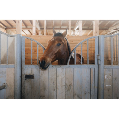 Head Of Horse Looking Over The Stable Doors On The Background Of Other Horses - Wrapped Canvas Print