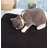 Plastic Litter Mat-100661722