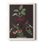 Brookshaw Cherries - Cadre photo unique, impression sur toile-393823549-393823554