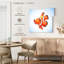 Crowle Percula Clownfish
