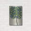 «Lemon Tree Composition I» par Tim O'Toole, art mural en métal-1428798761