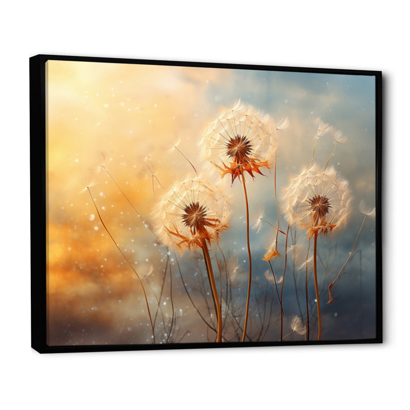 Orange Dandelion Dreams II - Floral Wall Art Prints, Cadre flottant noir, H 30 po x l 40 po x P 1,5 po
