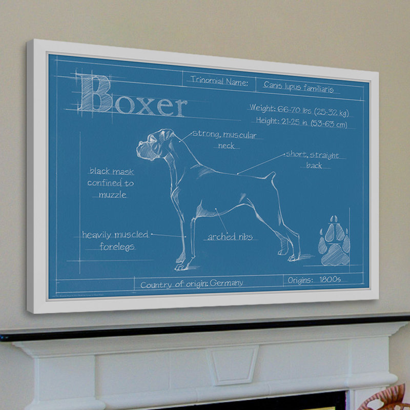 Art mural sur toile Trinx «Blueprint Boxer» par Ethan Harper, H 30 po x l 45 po x P 1,5 po, Papier avec cadre blanc