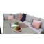 Rochele 9 - Person Wicker Patio Dining Set with Rectangular Table , Cushions Included