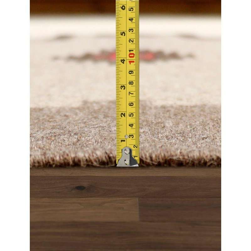 Bryd Oriental Area Rug