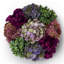 Arrangement floral en pot Artful Interiors-1029205107