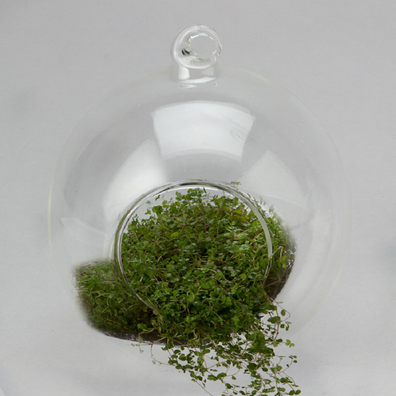 Ensemble de porte-photophore de table murale en verre 48 pièces