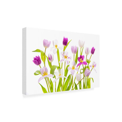 Tulipe printanière sur toile