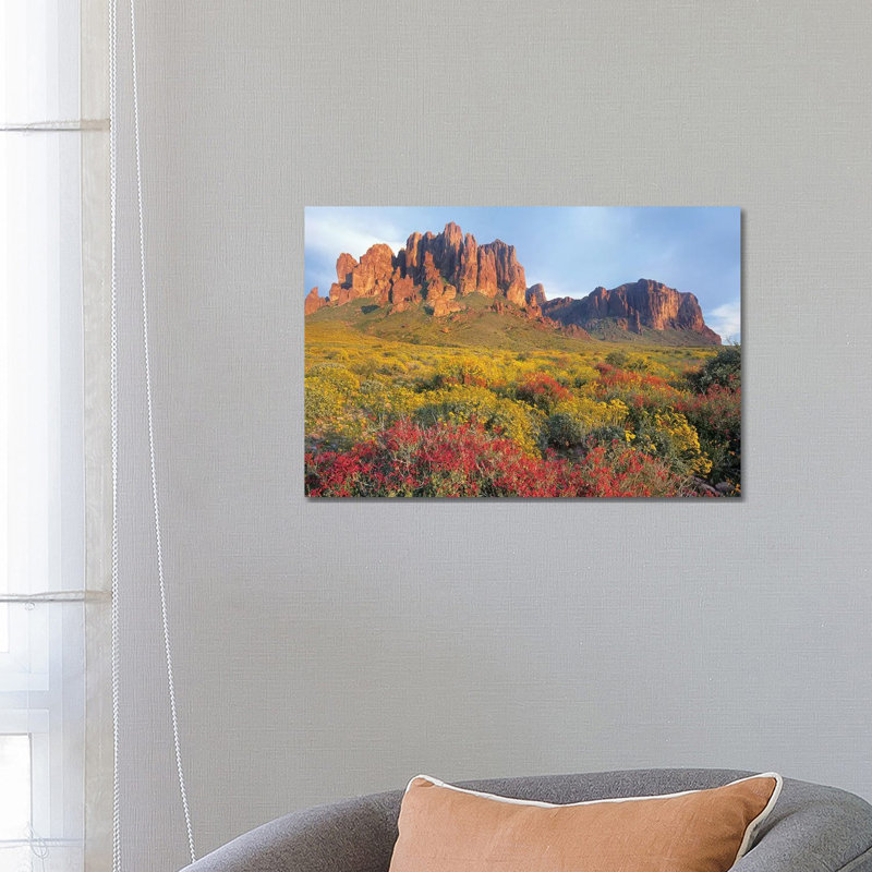 Chuparosa and Brittlebush, Superstition Mountains, Arizona 1 Piece Wrapped Canvas Wall Art
