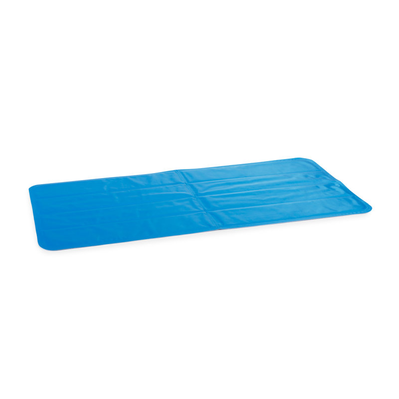 Wesson Plastic Pet Bed, 1cm H x 60cm W x 90 cm D