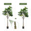 Arbre artificiel, faux arbres d'intérieur