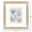 Art encadré, collection Sea Coral