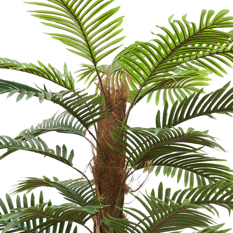 Plant, 160cm H x 80cm W x 80cm D