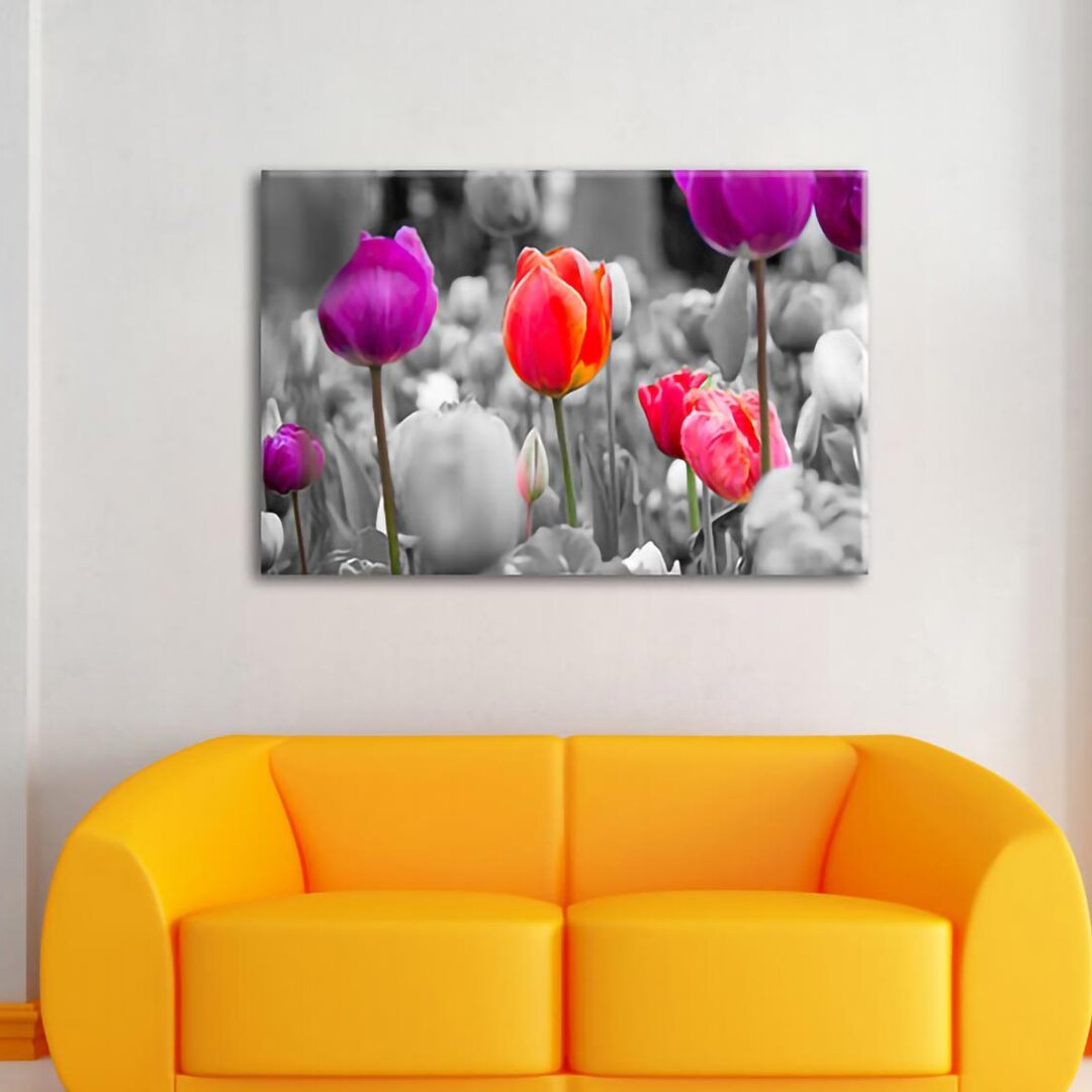 Leinwandbild Bunte holländische Tulpen Nahaufnahme