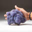 Botryoidal Fluorite