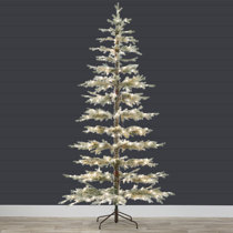 https://assets.wfcdn.com/im/57584607/resize-h210-w210%5Ecompr-r85/2591/259161419/Lighted+Christmas+Tree.jpg