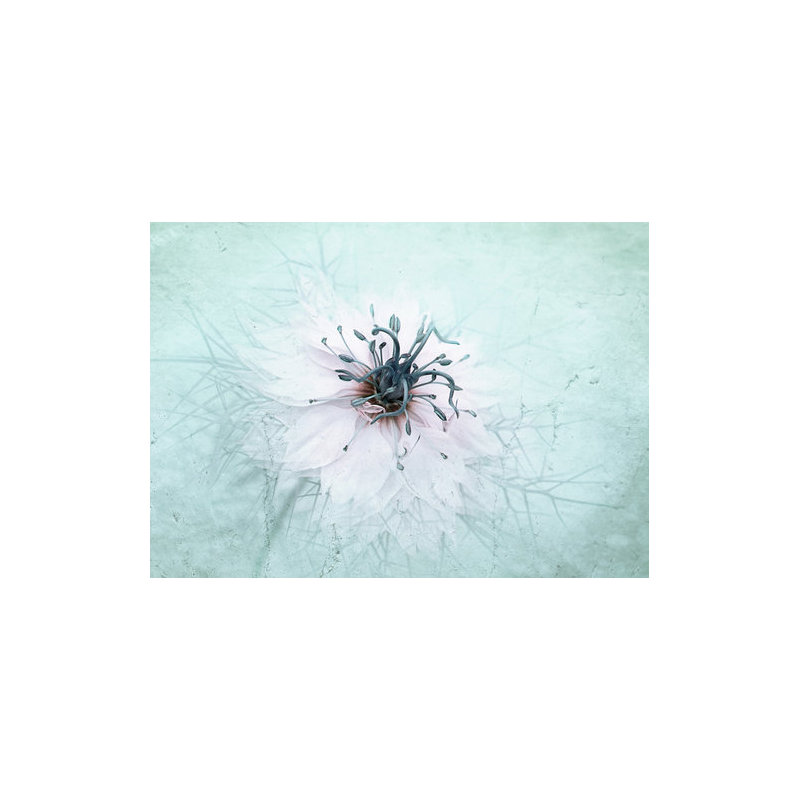 Wrapped Canvas Print, 50.8 cm H x 76.2 cm W