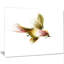 « nice flight of green oiseau », peinture-34270598-34270885