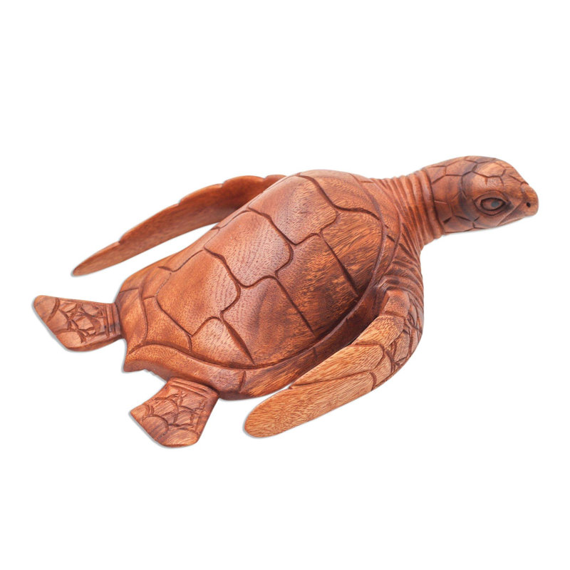 Tortue de mer élégante Georgiana