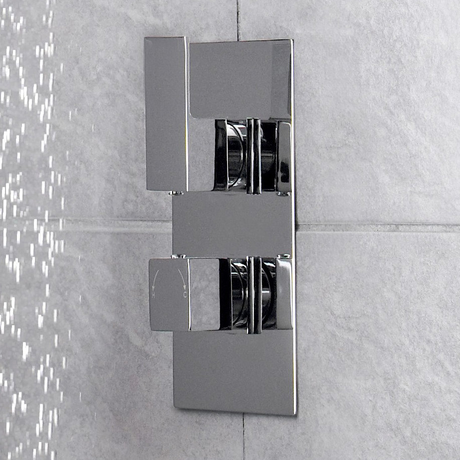 Art Double Concealed Thermostatic Shower Valve
