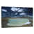 Wrapped Canvas