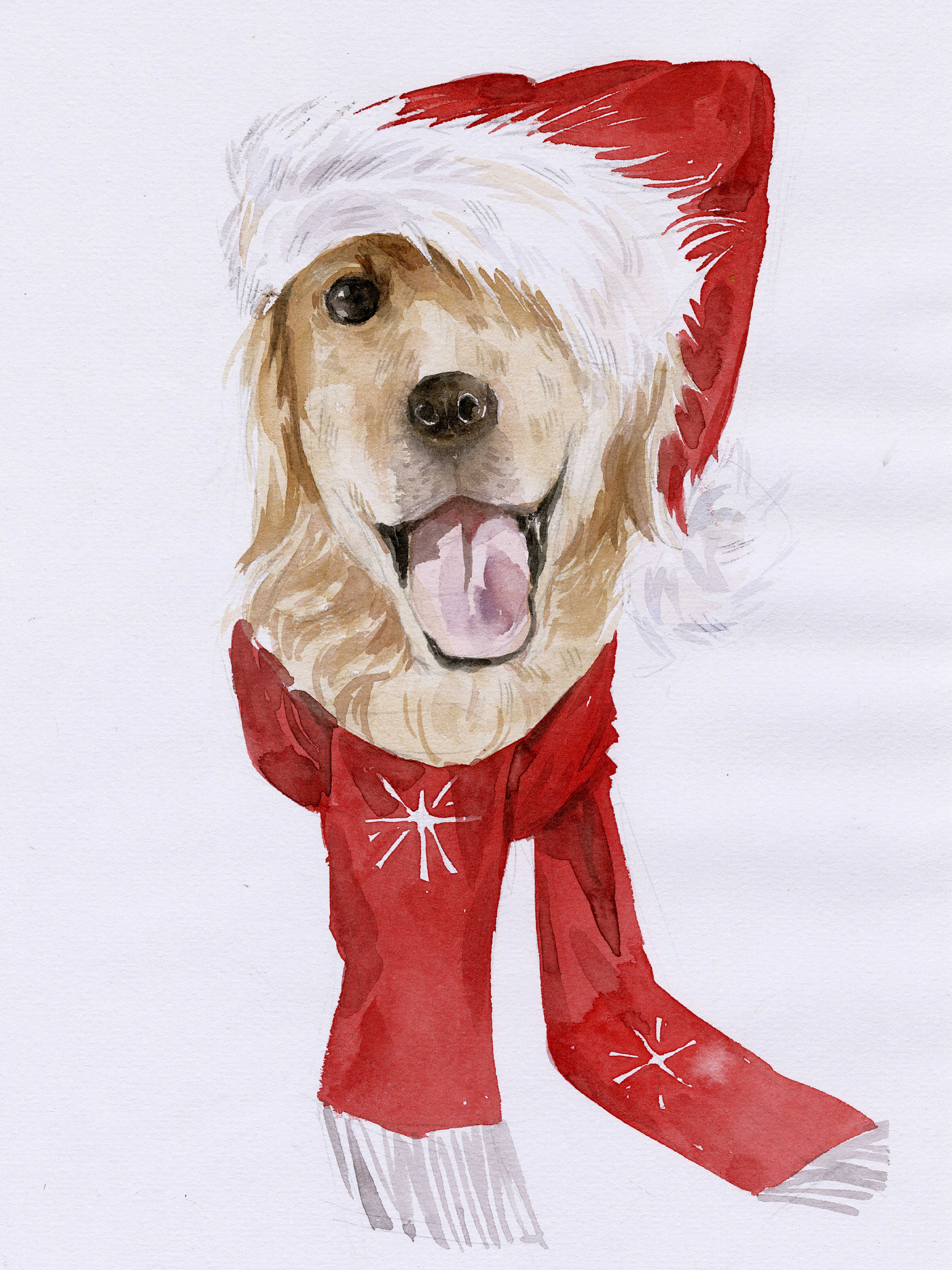 Golden retriever shop santa hat