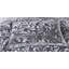 Whitt Polyester Bedspread with Pillow Shams Included-2056759556-2056759558