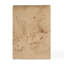 Cassius 2 - Drawer Nightstand in Light Brown