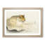 Tiger by Ohara Koson - Picture Frame Painting Print-55611760-55611761