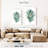 Areca-10064541