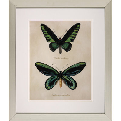 Bejeweled Butterfly " Bejeweled Butterfly II "