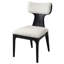 Chaise d'appoint Aaryan (ensemble de 2)