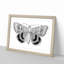Sleepy Underwing Moth by S.F. Denton - Picture Frame Painting Print-55619413-55619414