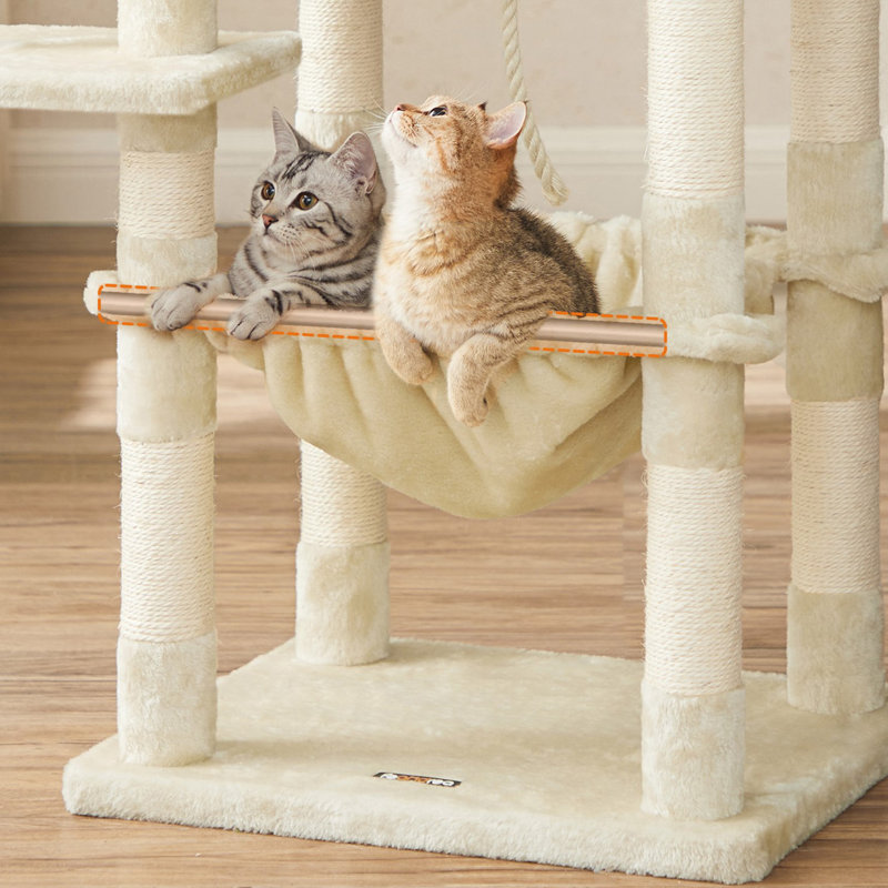 Tour à chat pour chats d'intérieur, Beige