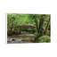 Adam Burton - Print on Canvas-34181213-89233664