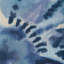 Rorschach Wp - Natural-14812361