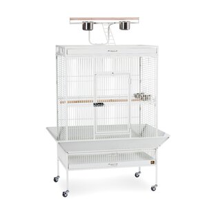 Parrot Large Floor Bird Cages You'll Love - Wayfair Canada