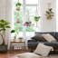 Sollis Hanging Planter