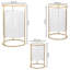 Adelais Plant Stand - Set of 3-1673419953