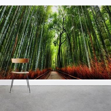 bamboo mural wallpaper