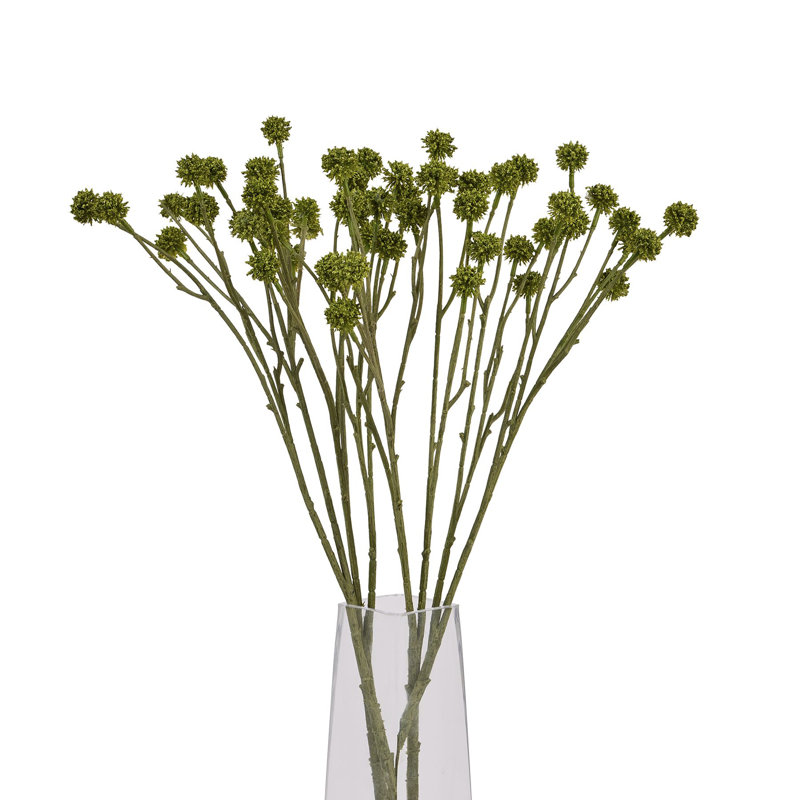 Anastasija Arrangement