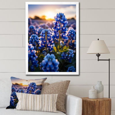 Bluebonnets Flower Blissful II - impression