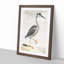 Heron by Johan Teyler - Picture Frame Painting Print-55580396-55580399